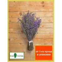 Очень душистая горная мята "Амбала", 2026 года в индивидуальной упаковке. Очень душистая горная мята "Амбала", 2026 года в индивидуальной упаковке.
