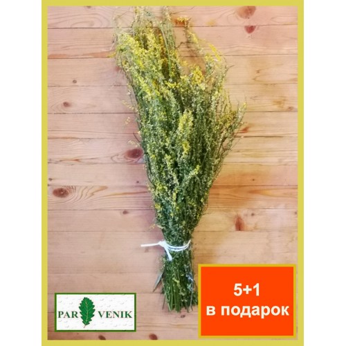 донник для бани в пучке донник для бани в пучке