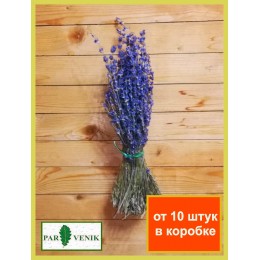   Трава Лаванда, 2026 года,  без упаковки, в коробке, от 10 штук 