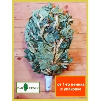 Банный веник липовый отборный , 2026 года, в упаковке Банный веник липовый отборный , 2026 года, в упаковке