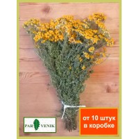 Трава Пижма луговая, от 10 штук без упаковки Трава Пижма луговая, от 10 штук без упаковки