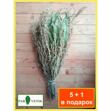 Полынь горькая с эвкалиптом, в пучке 5+1 в подарок (итоговая цена за штуку 210р) Полынь горькая с эвкалиптом, в пучке 5+1 в подарок (итоговая цена за штуку 210р)