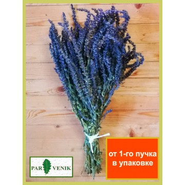 Трава в пучке Шалфей, 2026 года в индивидуальной упаковке Трава в пучке Шалфей, 2026 года в индивидуальной упаковке