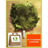 Веник дубовый канадский "стандартный", с перемотанное ручкой, в упаковке Веник дубовый канадский "стандартный", с перемотанное ручкой, в упаковке